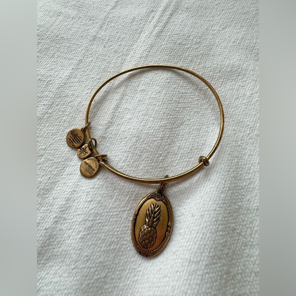 Alex and Ani Pineapple Charm Bangle - Picture 1 of 4